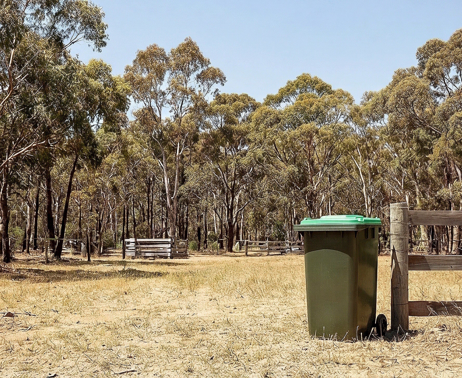 A guide for NSW households illustrating the updated 2026 Sydney Green Bin and FOGO rules, showing what food scraps and compostable bags are allowed.