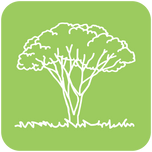 Our green bags and paper bags is sustainability and the preferred choice for kitchen waste.