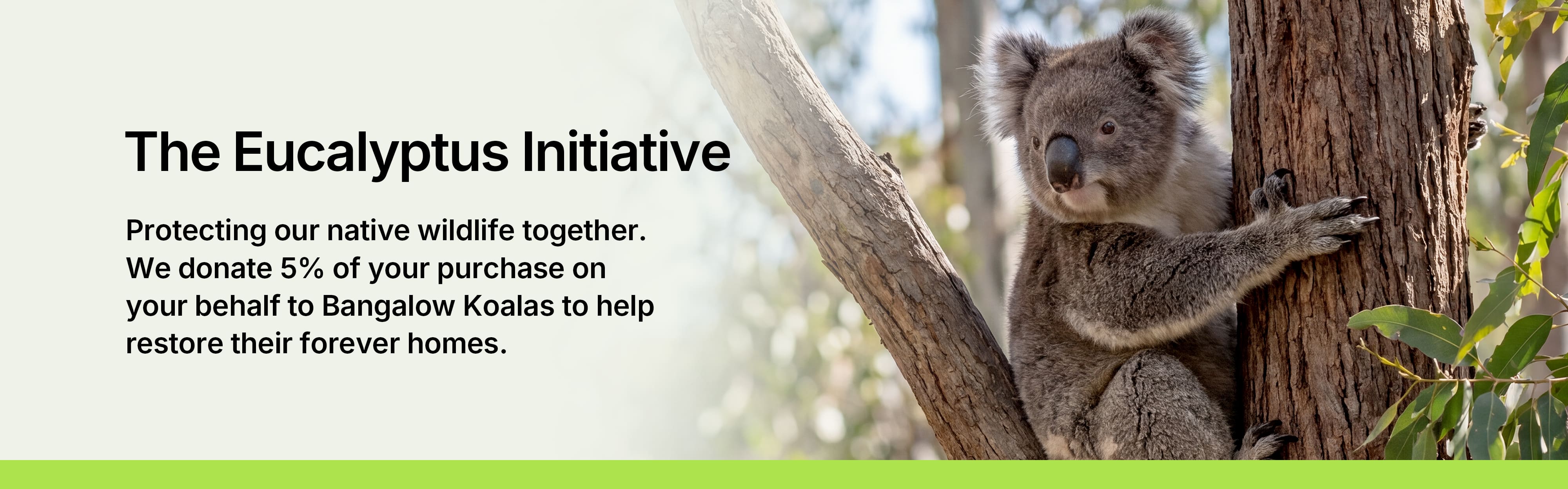 Banner for The Eucalyptus Initiative by Compostar, stating: Protecting our native wildlife together. We donate 5% of your purchase on your behalf to Bangalow Koalas to help restore their forever homes. Features a photo of a koala on an eucalyptus tree branch.
